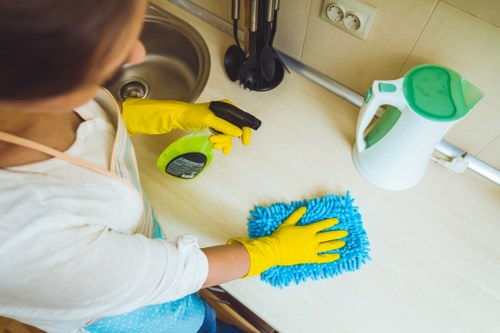 Clean oven interior showcasing spotless surfaces