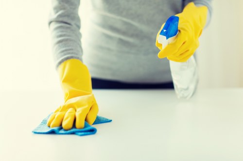 Professional carpet cleaner working on a residential carpet in Mona Vale