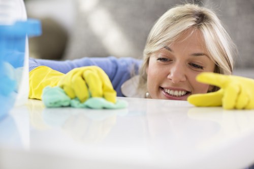 Eco-friendly carpet cleaning solutions