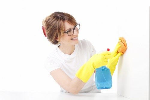 Eco-friendly carpet cleaning products used in Runcorn