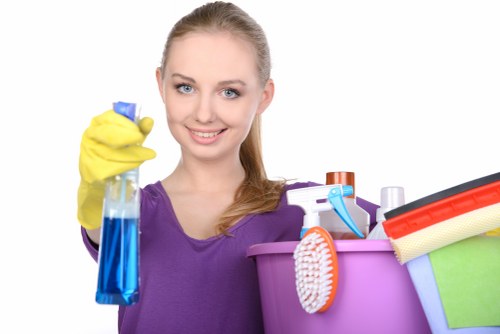 Eco-friendly cleaning solutions in use